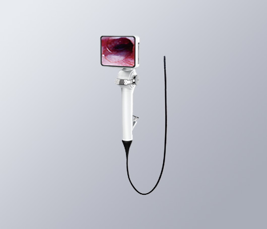 Animal endoscope